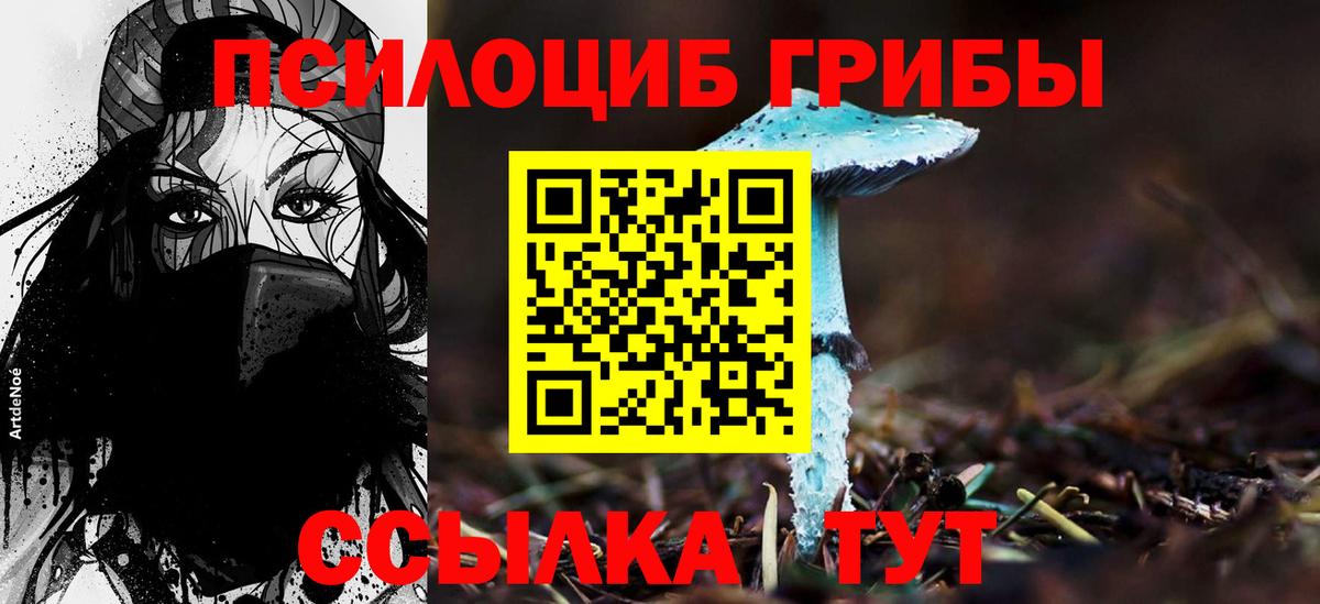 Псилоцибиновые грибы Magic Shrooms Тихорецк