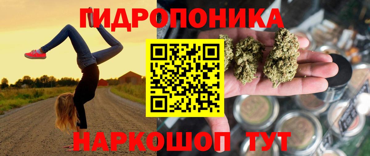 Бошки марихуана Ganja  МАРИХУАНА THC 21%  Вход с VPN  Шишки марихуана White Widow  Тихорецк 